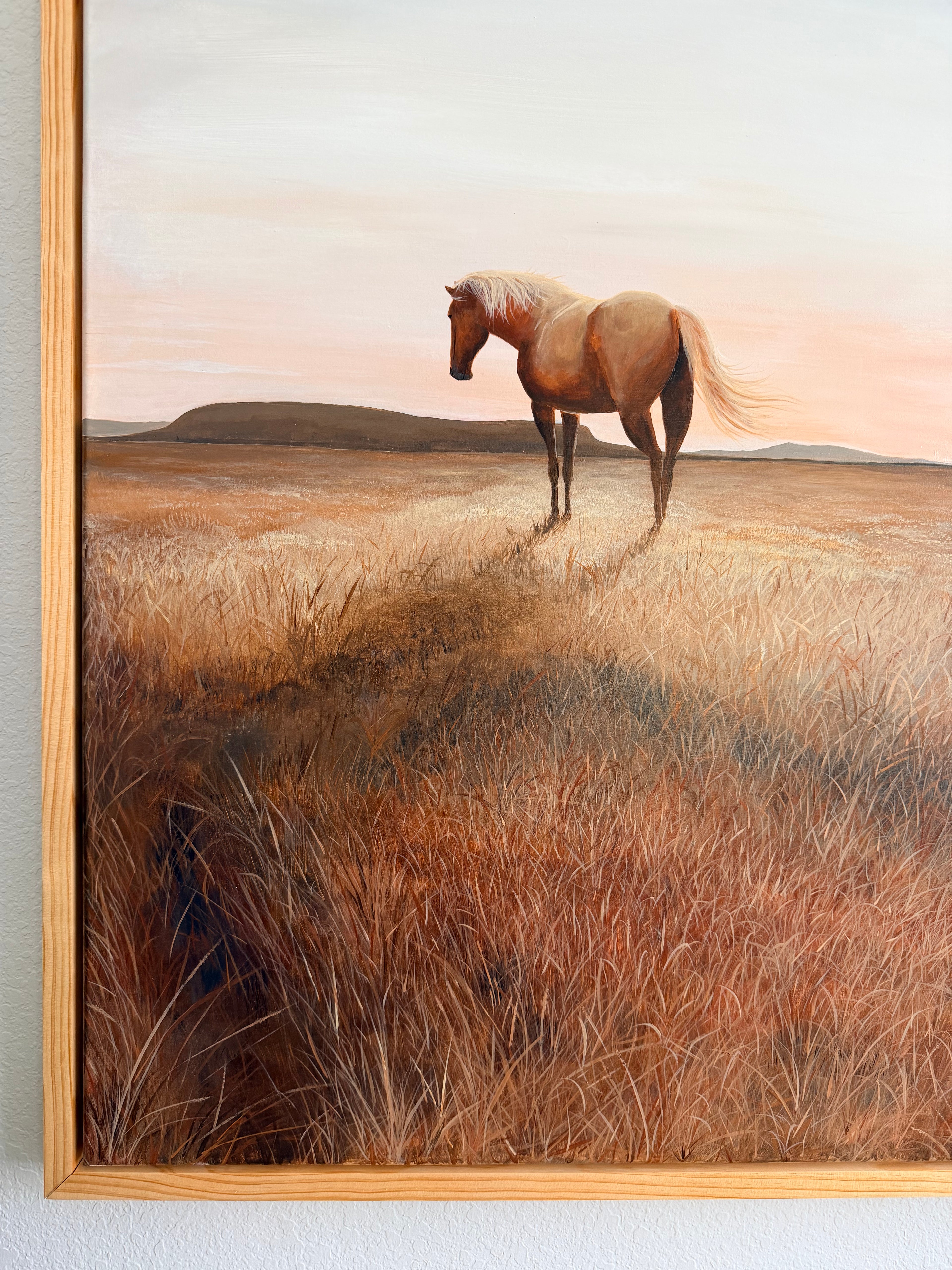 Palomino Plains