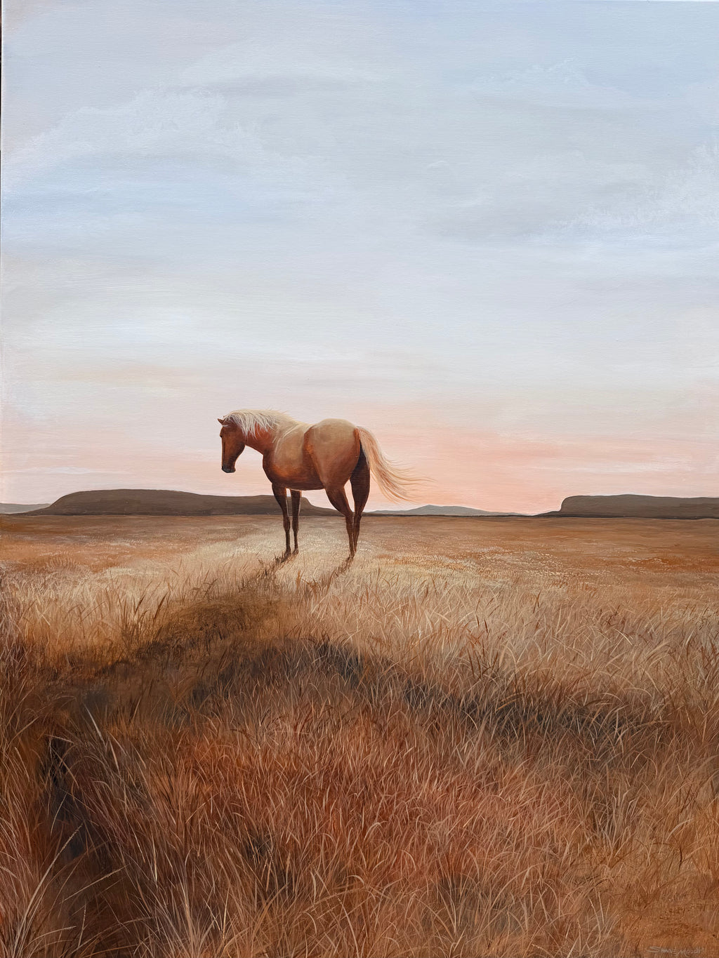 Palomino Plains