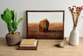 Standing in Awe:  American Bison on the Open Plains